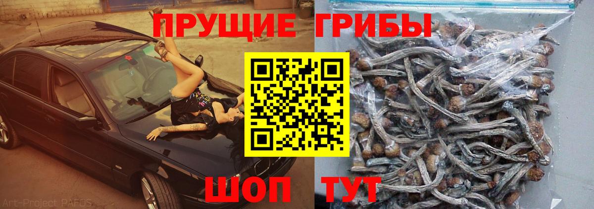 Псилоцибиновые грибы MAGIC MUSHROOMS Топки